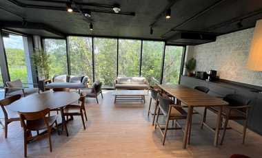 Oficinas corporativas en venta en Playa del Carmen: inversión estratégica en la Riviera Maya