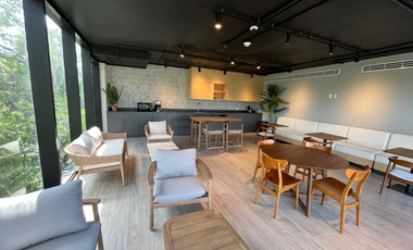 Oficinas corporativas en venta en Playa del Carmen: inversión estratégica en la Riviera Maya