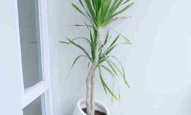 DIJUAL RUMAH 2 LANTAI MODERN MINIMALIS – DEKAT HOTEL HYATT, JALAN PALAGAN YOGYAKARTA