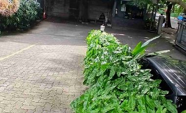 Disewakan Ruang Kantor/ Office Space for Rent Di Tomang Raya Jakarta Barat