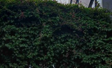 Disewakan Ruang Kantor/ Office Space for Rent Di Tomang Raya Jakarta Barat