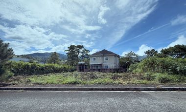 Residential Lot for sale in Vicente Puyat Avenue, Asin Road, District 15, Baguio