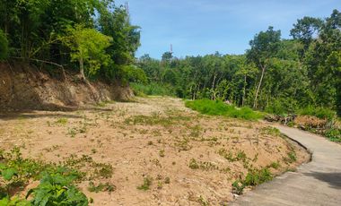 Tanah SHM Bantul Hanya 100 Jutaan Dekat Hutan Pinus