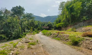 Tanah SHM Bantul Hanya 100 Jutaan Dekat Hutan Pinus