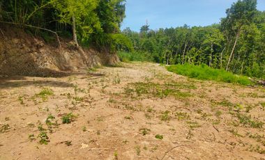 Tanah SHM Bantul Hanya 100 Jutaan Dekat Hutan Pinus