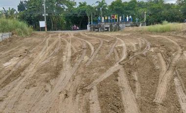 Nueva Ecija Agricultural Land For Sale