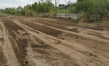 Nueva Ecija Agricultural Land For Sale