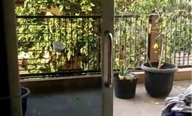 Dijual Cepat !!! Super BU !!! Rumah Siap Huni di Pondok Tjandra (Candra) Jl. Jambu, Waru, dekat Deltasari, Juanda, Sedati, Rungkut, Surabaya