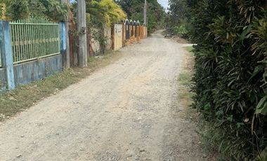 Bank Foreclosed Property- House and Lot  inside 3135 sq.m land