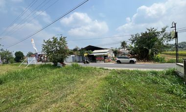 Tanah Premium SHM Tepi Jl Pandowoharjo Utara Resto Jejamuran - Bisa Cash Tempo