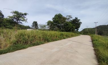 6-0-0 Rai | Beautiful Mountain View Land  Ideal For Small Exclusive Home Development