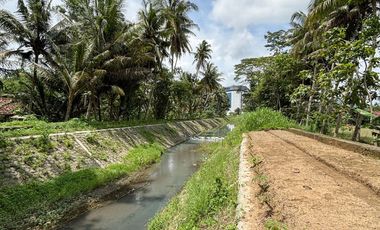 Jual Tanah Samping Bandara Kulon ProgoView Sawah Parit dan Sungai Sejuk Mengalir