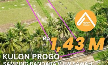 Jual Tanah Samping Bandara Kulon ProgoView Sawah Parit dan Sungai Sejuk Mengalir