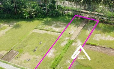Jual Tanah Samping Bandara Kulon ProgoView Sawah Parit dan Sungai Sejuk Mengalir