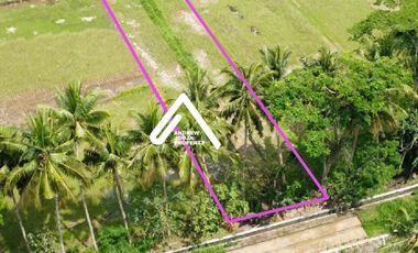 Jual Tanah Samping Bandara Kulon ProgoView Sawah Parit dan Sungai Sejuk Mengalir