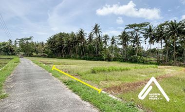 Jual Tanah Samping Bandara Kulon ProgoView Sawah Parit dan Sungai Sejuk Mengalir