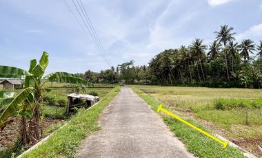 Jual Tanah Samping Bandara Kulon ProgoView Sawah Parit dan Sungai Sejuk Mengalir