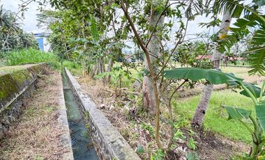 Jual Tanah Samping Bandara Kulon ProgoView Sawah Parit dan Sungai Sejuk Mengalir