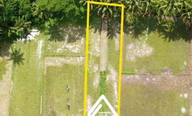 Jual Tanah Samping Bandara Kulon ProgoView Sawah Parit dan Sungai Sejuk Mengalir