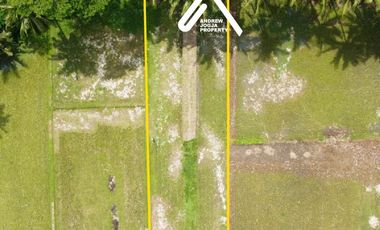 Jual Tanah Samping Bandara Kulon ProgoView Sawah Parit dan Sungai Sejuk Mengalir