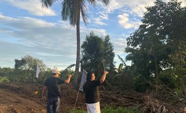 RESIDENTIAL NATURE  PROPERTY (Mountains and Highlands View)