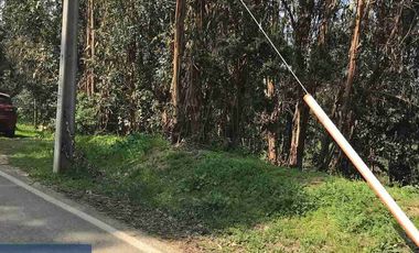 venta de Cesión de Derechos