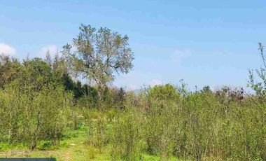 venta de Cesión de Derechos