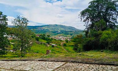 LOTE EN CONJUNTO CERRADO