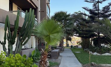 ARRIENDO PARQUE PARINACOTA