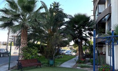 ARRIENDO PARQUE PARINACOTA