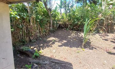 VENDO LOCAL COMERCIAL EN PACAYZAPA, SAN MARTIN