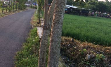 Dijual Tanah Strategis Dekat Bunderan Taman Kota Madiun