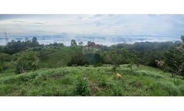 Finca en Venta en Tolima Armero