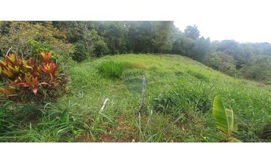 Finca en Venta en Tolima Armero