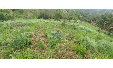 Finca en Venta en Tolima Armero