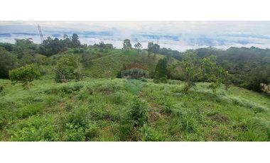 Finca en Venta en Tolima Armero