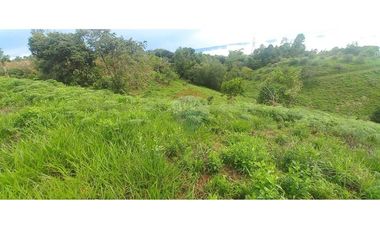 Finca en Venta en Tolima Armero