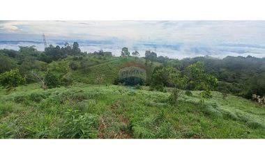 Finca en Venta en Tolima Armero