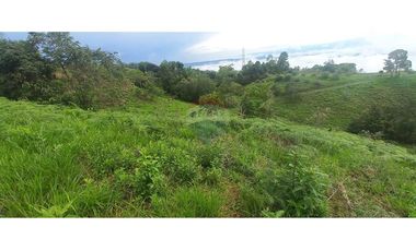 Finca en Venta en Tolima Armero