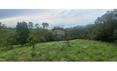 Finca en Venta en Tolima Armero