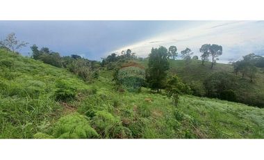 Finca en Venta en Tolima Armero