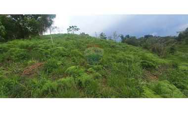 Finca en Venta en Tolima Armero