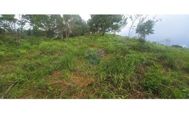 Finca en Venta en Tolima Armero