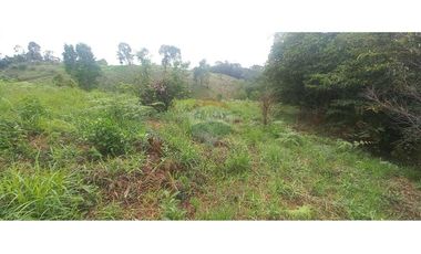 Finca en Venta en Tolima Armero