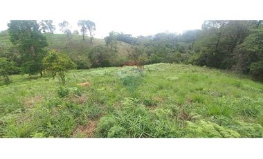 Finca en Venta en Tolima Armero