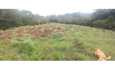 Finca en Venta en Tolima Armero