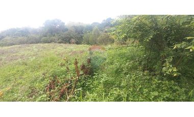 Finca en Venta en Tolima Armero