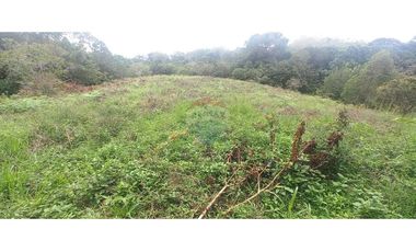 Finca en Venta en Tolima Armero