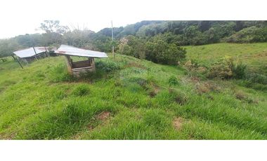 Finca en Venta en Tolima Armero