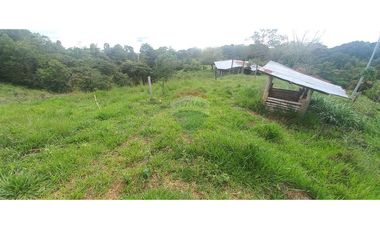 Finca en Venta en Tolima Armero